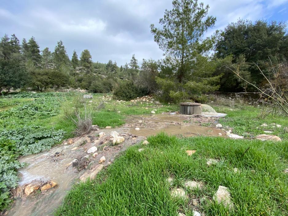 (התמונה באדיבות מטה יהודה)